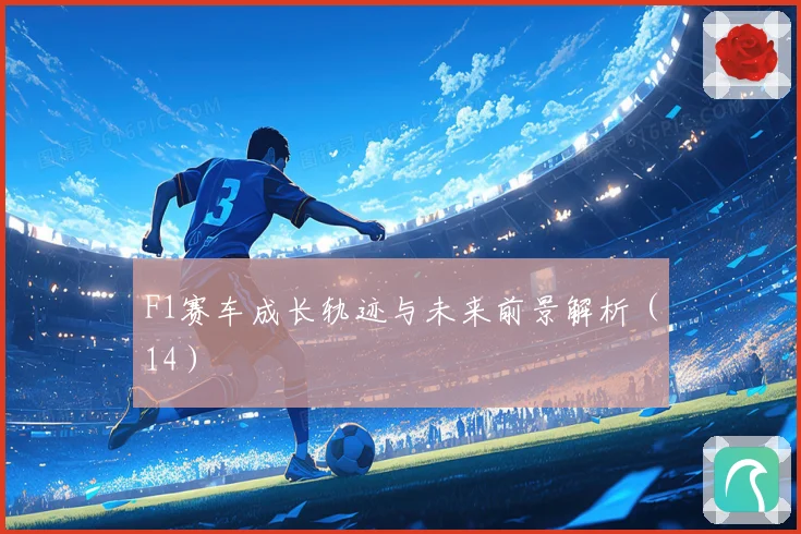 F1赛车成长轨迹与未来前景解析（14）