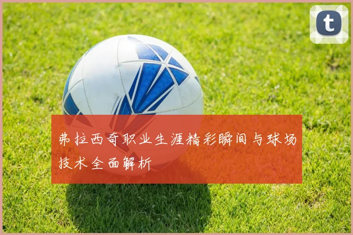 弗拉西奇职业生涯精彩瞬间与球场技术全面解析