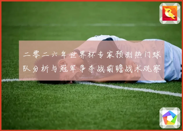 二零二六年世界杯专家预测热门球队分析与冠军争夺战前瞻战术观察