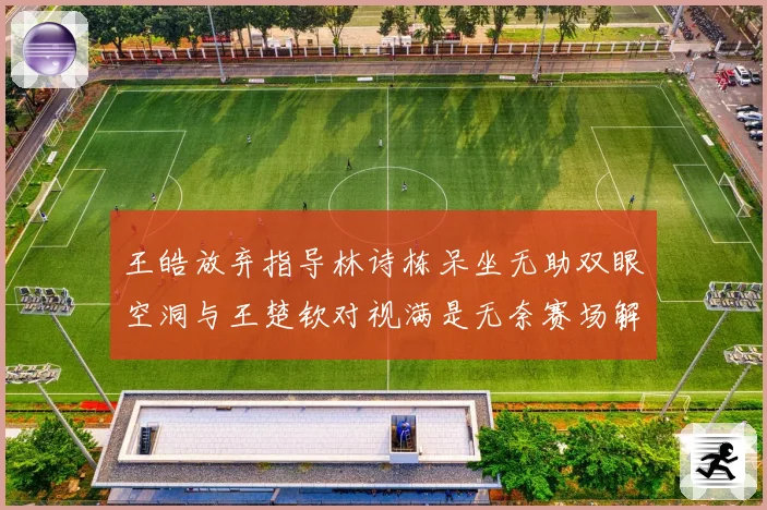 王皓放弃指导林诗栋呆坐无助双眼空洞与王楚钦对视满是无奈赛场解读
