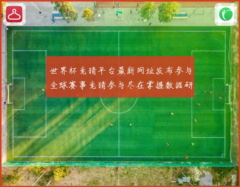世界杯竞猜平台最新网址发布参与全球赛事竞猜参与尽在掌握数据研判