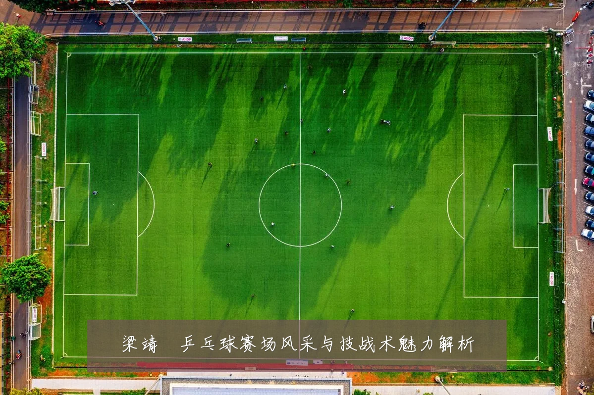梁靖崑乒乓球赛场风采与技战术魅力解析