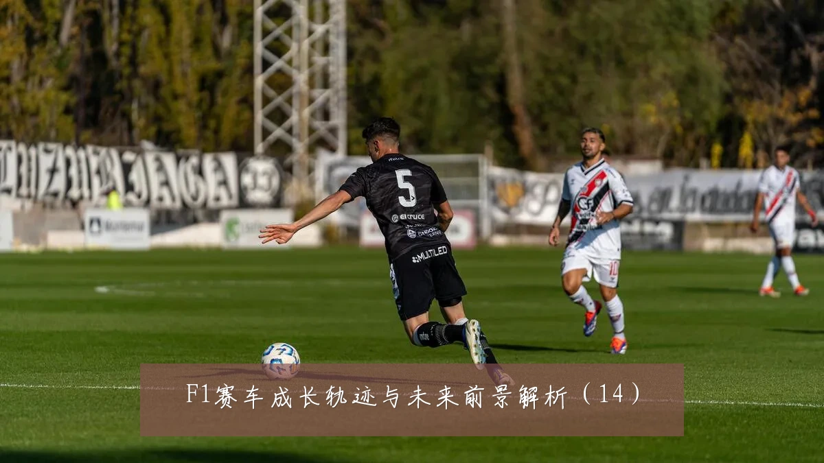F1赛车成长轨迹与未来前景解析(14)