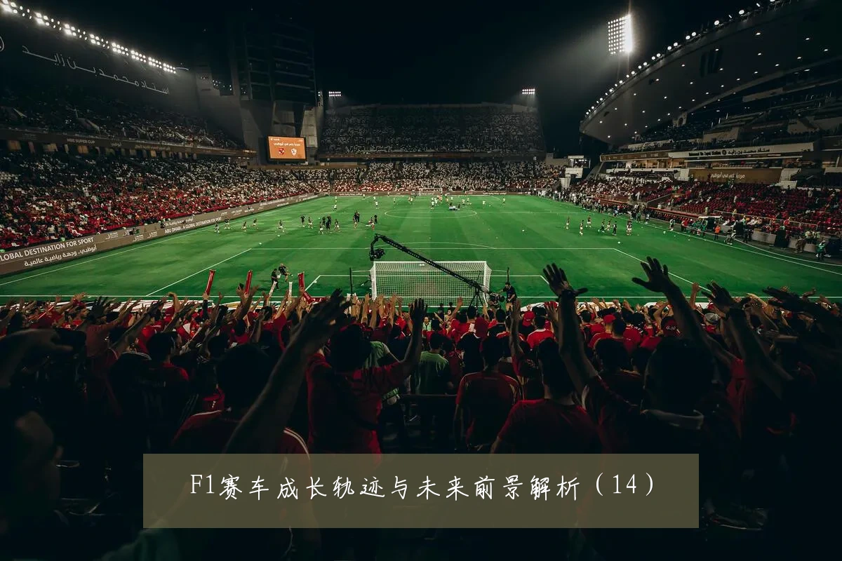 F1赛车成长轨迹与未来前景解析(14)